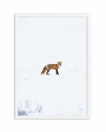 Arctic Fox | PT Art Print-PRINT-Olive et Oriel-Olive et Oriel-A5 | 5.8" x 8.3" | 14.8 x 21cm-White-With White Border-Buy-Australian-Art-Prints-Online-with-Olive-et-Oriel-Your-Artwork-Specialists-Austrailia-Decorate-With-Coastal-Photo-Wall-Art-Prints-From-Our-Beach-House-Artwork-Collection-Fine-Poster-and-Framed-Artwork