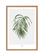 Areca Palm Art Print-PRINT-Olive et Oriel-Olive et Oriel-50x70 cm | 19.6" x 27.5"-Walnut-With White Border-Buy-Australian-Art-Prints-Online-with-Olive-et-Oriel-Your-Artwork-Specialists-Austrailia-Decorate-With-Coastal-Photo-Wall-Art-Prints-From-Our-Beach-House-Artwork-Collection-Fine-Poster-and-Framed-Artwork