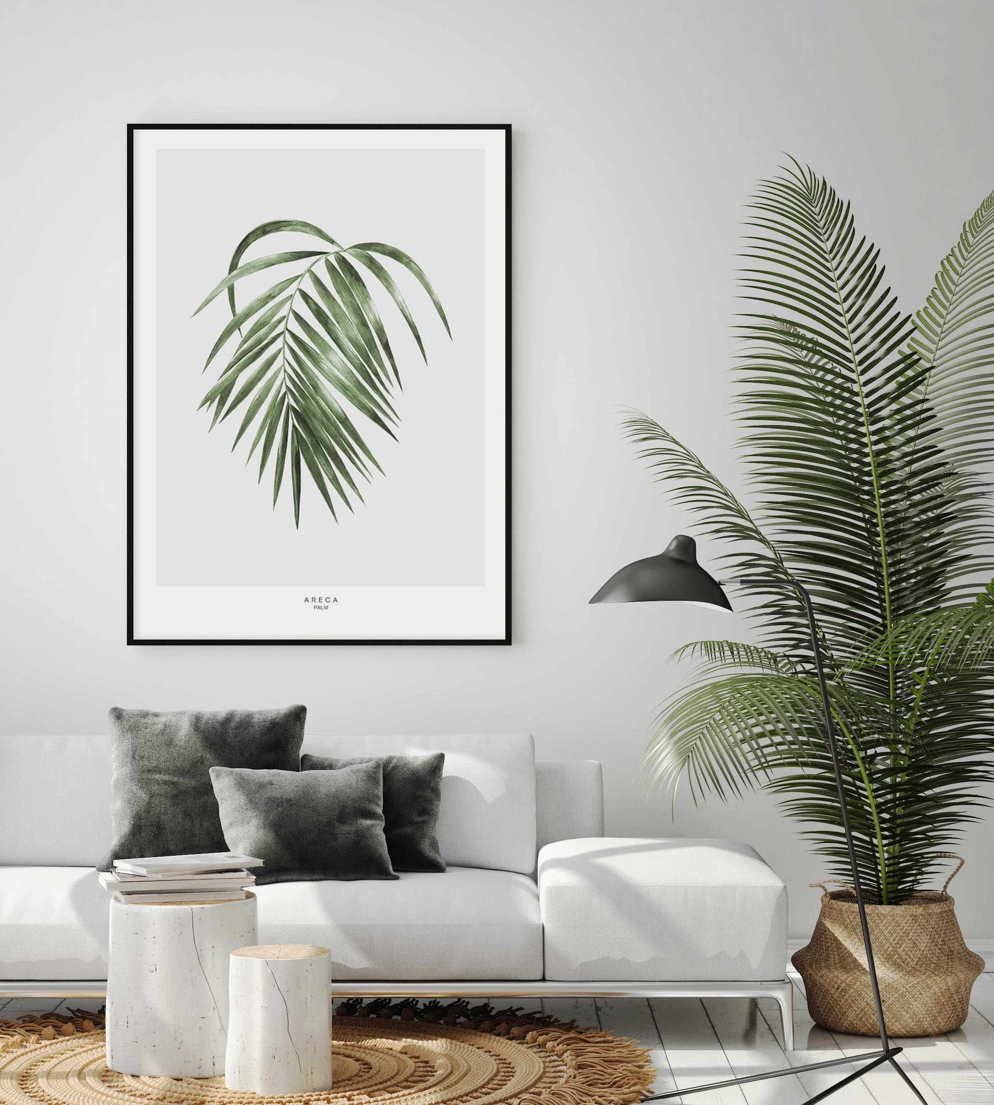 Areca Palm Art Print-PRINT-Olive et Oriel-Olive et Oriel-Buy-Australian-Art-Prints-Online-with-Olive-et-Oriel-Your-Artwork-Specialists-Austrailia-Decorate-With-Coastal-Photo-Wall-Art-Prints-From-Our-Beach-House-Artwork-Collection-Fine-Poster-and-Framed-Artwork