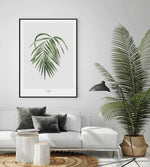 Areca Palm Art Print-PRINT-Olive et Oriel-Olive et Oriel-Buy-Australian-Art-Prints-Online-with-Olive-et-Oriel-Your-Artwork-Specialists-Austrailia-Decorate-With-Coastal-Photo-Wall-Art-Prints-From-Our-Beach-House-Artwork-Collection-Fine-Poster-and-Framed-Artwork
