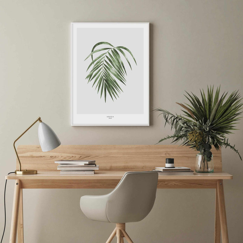 Areca Palm Art Print-PRINT-Olive et Oriel-Olive et Oriel-Buy-Australian-Art-Prints-Online-with-Olive-et-Oriel-Your-Artwork-Specialists-Austrailia-Decorate-With-Coastal-Photo-Wall-Art-Prints-From-Our-Beach-House-Artwork-Collection-Fine-Poster-and-Framed-Artwork