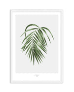 Areca Palm Art Print-PRINT-Olive et Oriel-Olive et Oriel-A5 | 5.8" x 8.3" | 14.8 x 21cm-White-With White Border-Buy-Australian-Art-Prints-Online-with-Olive-et-Oriel-Your-Artwork-Specialists-Austrailia-Decorate-With-Coastal-Photo-Wall-Art-Prints-From-Our-Beach-House-Artwork-Collection-Fine-Poster-and-Framed-Artwork