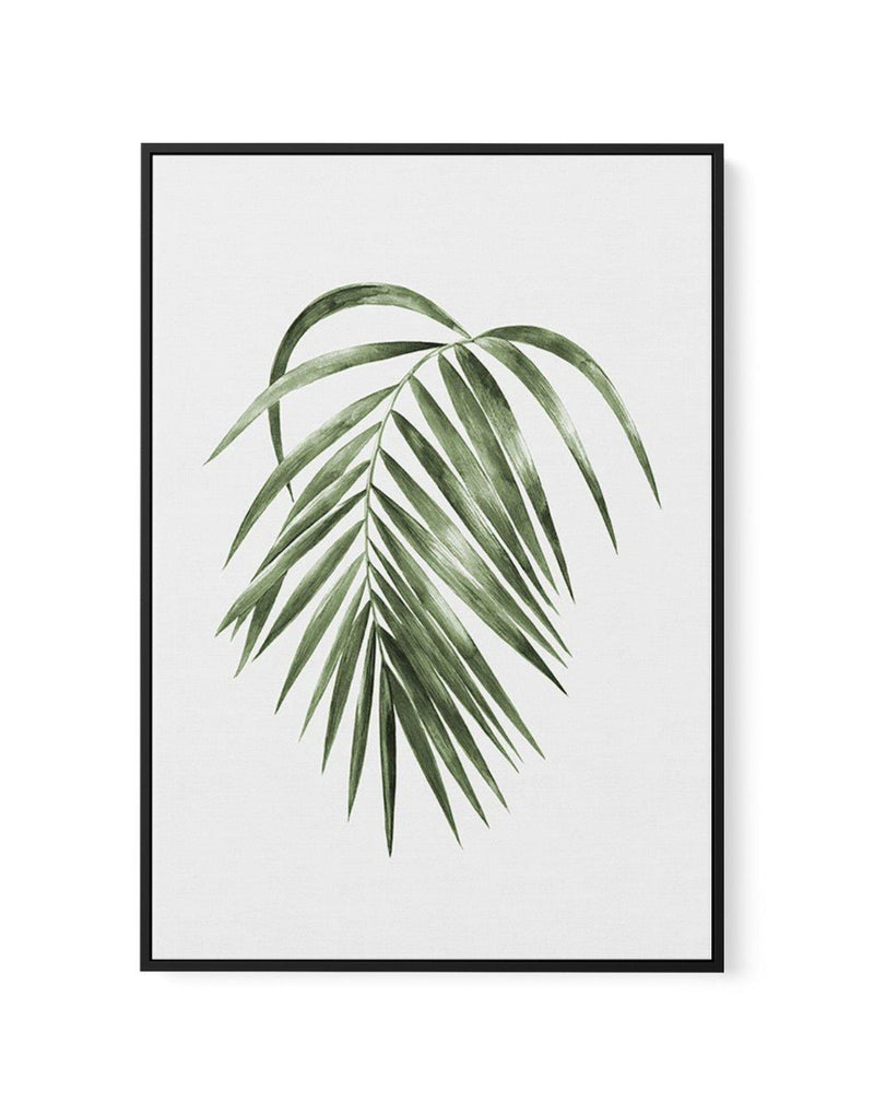 Areca Palm | Framed Canvas-CANVAS-You can shop wall art online with Olive et Oriel for everything from abstract art to fun kids wall art. Our beautiful modern art prints and canvas art are available from large canvas prints to wall art paintings and our proudly Australian artwork collection offers only the highest quality framed large wall art and canvas art Australia - You can buy fashion photography prints or Hampton print posters and paintings on canvas from Olive et Oriel and have them deliv