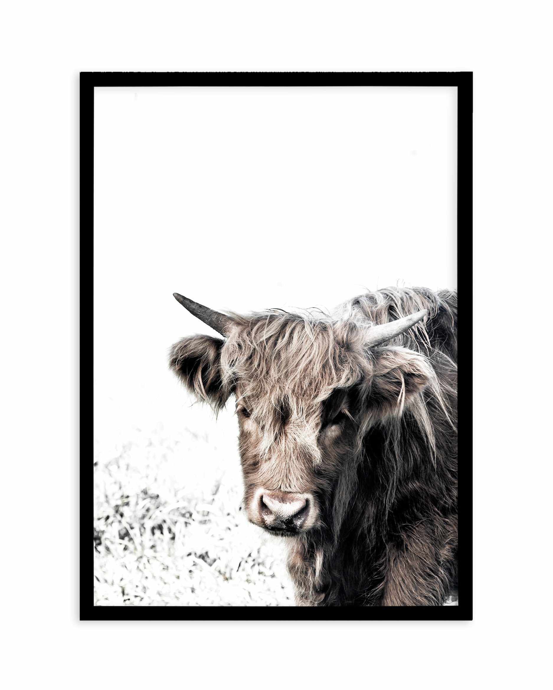 Arthur | Highlander Art Print-PRINT-Olive et Oriel-Olive et Oriel-A5 | 5.8" x 8.3" | 14.8 x 21cm-Black-With White Border-Buy-Australian-Art-Prints-Online-with-Olive-et-Oriel-Your-Artwork-Specialists-Austrailia-Decorate-With-Coastal-Photo-Wall-Art-Prints-From-Our-Beach-House-Artwork-Collection-Fine-Poster-and-Framed-Artwork