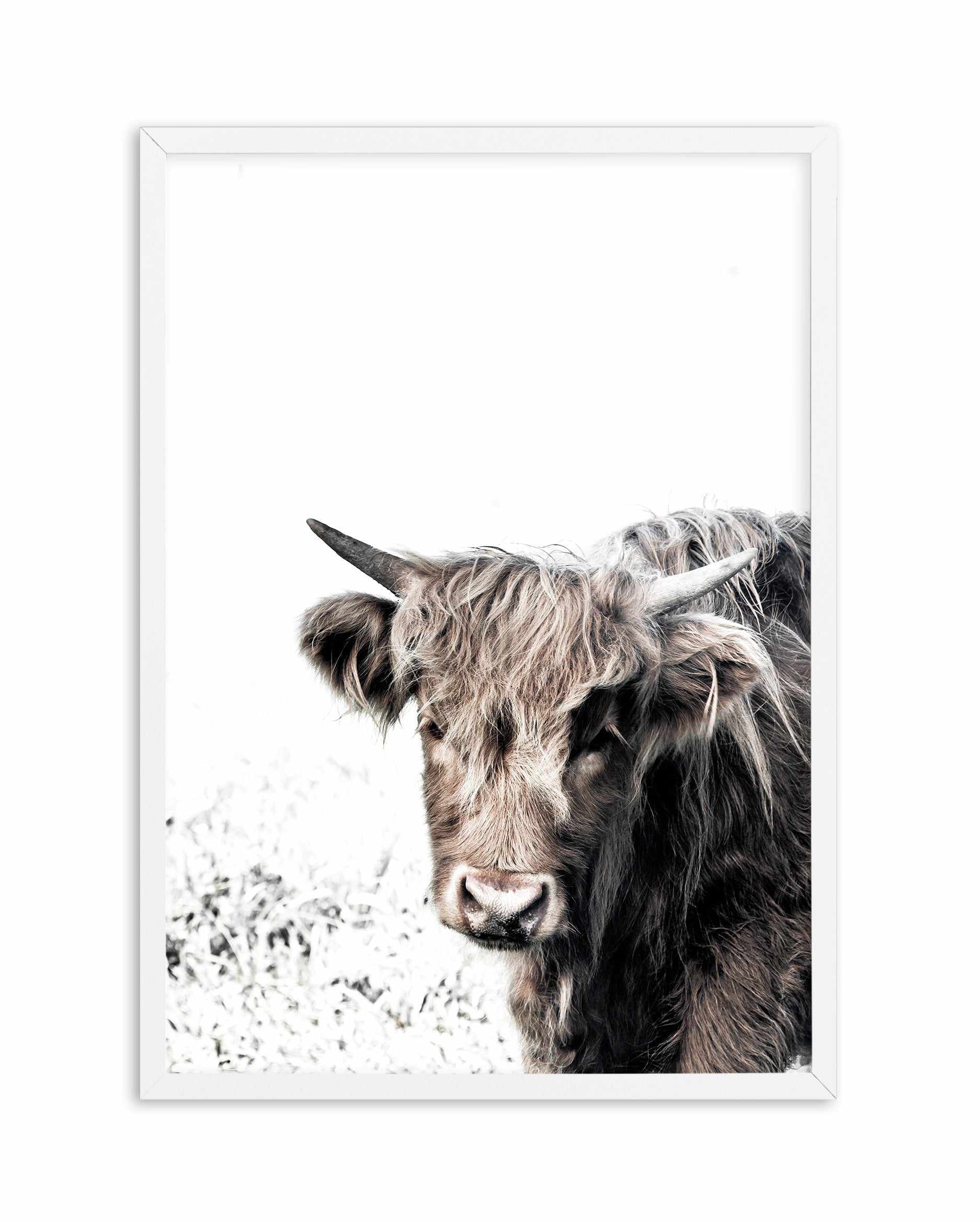 Arthur | Highlander Art Print-PRINT-Olive et Oriel-Olive et Oriel-A5 | 5.8" x 8.3" | 14.8 x 21cm-White-With White Border-Buy-Australian-Art-Prints-Online-with-Olive-et-Oriel-Your-Artwork-Specialists-Austrailia-Decorate-With-Coastal-Photo-Wall-Art-Prints-From-Our-Beach-House-Artwork-Collection-Fine-Poster-and-Framed-Artwork