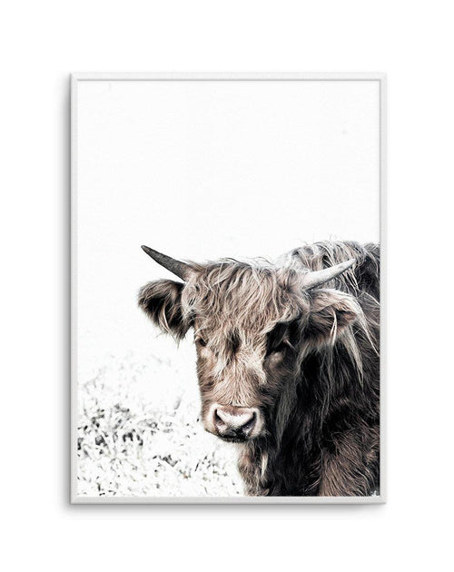 Arthur | Highlander Art Print-PRINT-Olive et Oriel-Olive et Oriel-A5 | 5.8" x 8.3" | 14.8 x 21cm-Unframed Art Print-With White Border-Buy-Australian-Art-Prints-Online-with-Olive-et-Oriel-Your-Artwork-Specialists-Austrailia-Decorate-With-Coastal-Photo-Wall-Art-Prints-From-Our-Beach-House-Artwork-Collection-Fine-Poster-and-Framed-Artwork