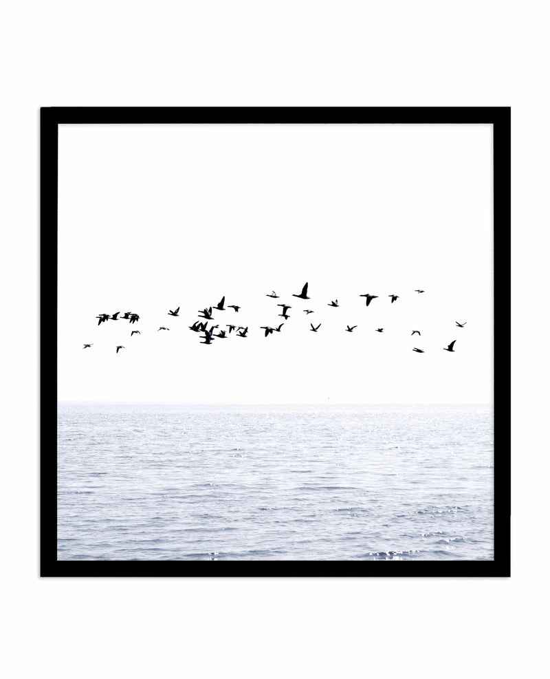 Atlantic | SQ Art Print-PRINT-Olive et Oriel-Olive et Oriel-70x70 cm | 27.5" x 27.5"-Black-With White Border-Buy-Australian-Art-Prints-Online-with-Olive-et-Oriel-Your-Artwork-Specialists-Austrailia-Decorate-With-Coastal-Photo-Wall-Art-Prints-From-Our-Beach-House-Artwork-Collection-Fine-Poster-and-Framed-Artwork