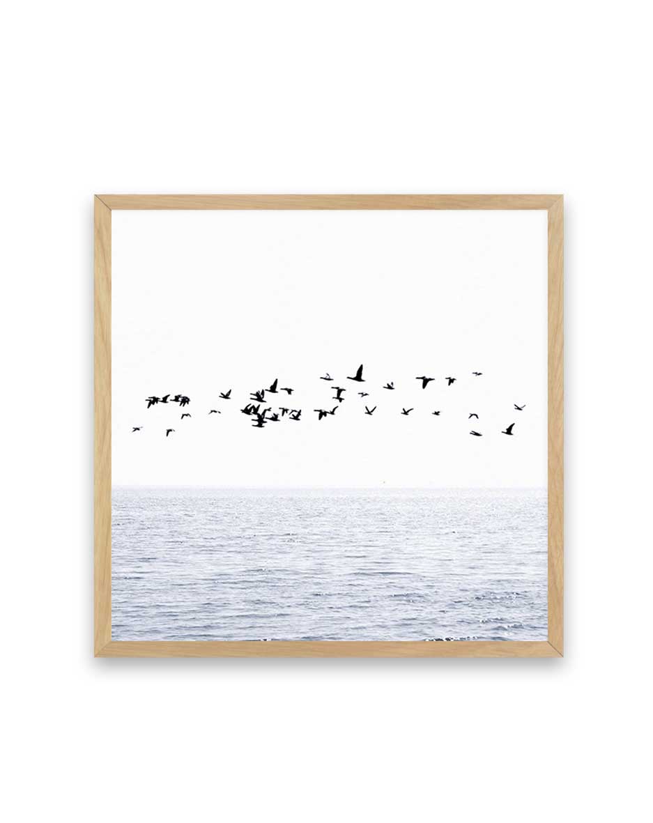 Atlantic | SQ Art Print-PRINT-Olive et Oriel-Olive et Oriel-70x70 cm | 27.5" x 27.5"-Oak-With White Border-Buy-Australian-Art-Prints-Online-with-Olive-et-Oriel-Your-Artwork-Specialists-Austrailia-Decorate-With-Coastal-Photo-Wall-Art-Prints-From-Our-Beach-House-Artwork-Collection-Fine-Poster-and-Framed-Artwork