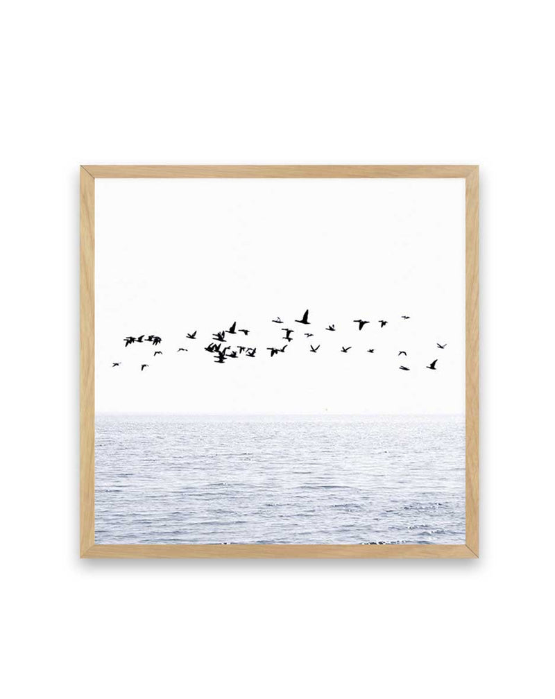 Atlantic | SQ Art Print-PRINT-Olive et Oriel-Olive et Oriel-70x70 cm | 27.5" x 27.5"-Oak-With White Border-Buy-Australian-Art-Prints-Online-with-Olive-et-Oriel-Your-Artwork-Specialists-Austrailia-Decorate-With-Coastal-Photo-Wall-Art-Prints-From-Our-Beach-House-Artwork-Collection-Fine-Poster-and-Framed-Artwork