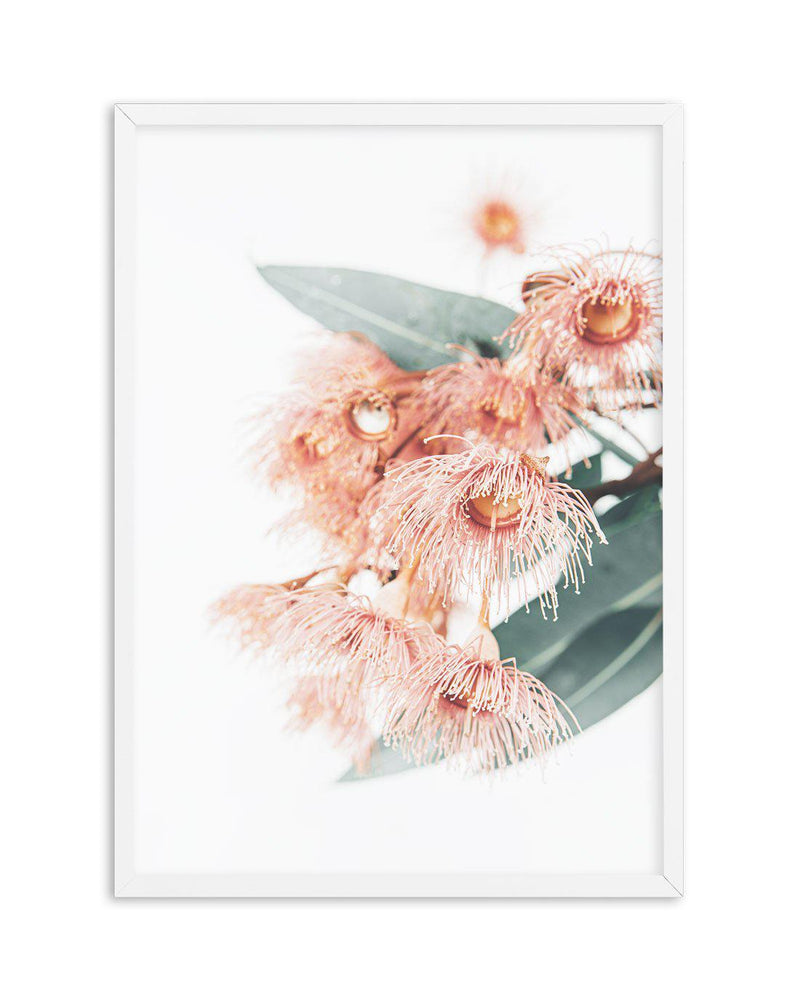 Pink Eucalyptus Art Print-PRINT-Olive et Oriel-Olive et Oriel-A5 | 5.8" x 8.3" | 14.8 x 21cm-White-With White Border-Buy-Australian-Art-Prints-Online-with-Olive-et-Oriel-Your-Artwork-Specialists-Austrailia-Decorate-With-Coastal-Photo-Wall-Art-Prints-From-Our-Beach-House-Artwork-Collection-Fine-Poster-and-Framed-Artwork