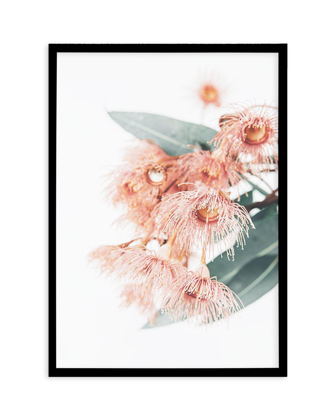 Pink Eucalyptus Art Print-PRINT-Olive et Oriel-Olive et Oriel-A5 | 5.8" x 8.3" | 14.8 x 21cm-Black-With White Border-Buy-Australian-Art-Prints-Online-with-Olive-et-Oriel-Your-Artwork-Specialists-Austrailia-Decorate-With-Coastal-Photo-Wall-Art-Prints-From-Our-Beach-House-Artwork-Collection-Fine-Poster-and-Framed-Artwork