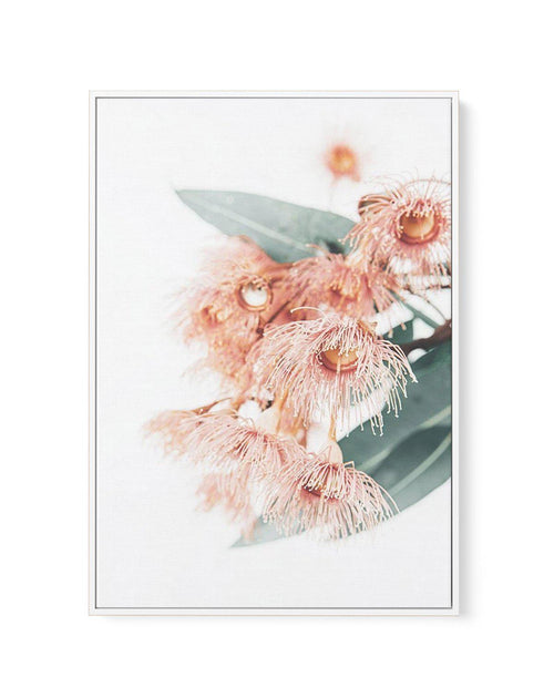 Pink Eucalyptus | Framed Canvas-CANVAS-You can shop wall art online with Olive et Oriel for everything from abstract art to fun kids wall art. Our beautiful modern art prints and canvas art are available from large canvas prints to wall art paintings and our proudly Australian artwork collection offers only the highest quality framed large wall art and canvas art Australia - You can buy fashion photography prints or Hampton print posters and paintings on canvas from Olive et Oriel and have them 
