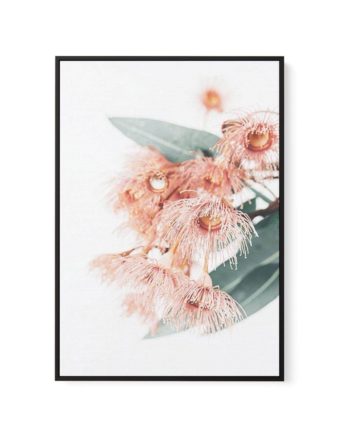 Pink Eucalyptus | Framed Canvas-CANVAS-You can shop wall art online with Olive et Oriel for everything from abstract art to fun kids wall art. Our beautiful modern art prints and canvas art are available from large canvas prints to wall art paintings and our proudly Australian artwork collection offers only the highest quality framed large wall art and canvas art Australia - You can buy fashion photography prints or Hampton print posters and paintings on canvas from Olive et Oriel and have them 