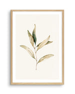 Australian Foliage I Art Print-PRINT-Olive et Oriel-Olive et Oriel-A5 | 5.8" x 8.3" | 14.8 x 21cm-Oak-With White Border-Buy-Australian-Art-Prints-Online-with-Olive-et-Oriel-Your-Artwork-Specialists-Austrailia-Decorate-With-Coastal-Photo-Wall-Art-Prints-From-Our-Beach-House-Artwork-Collection-Fine-Poster-and-Framed-Artwork