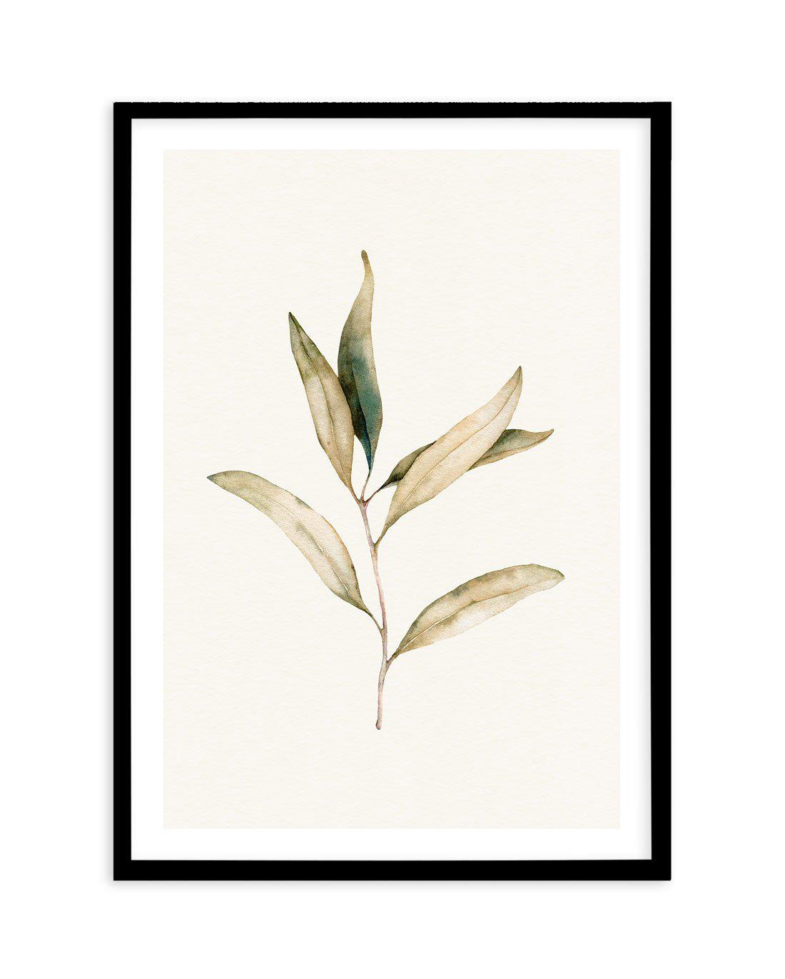 Australian Foliage I Art Print-PRINT-Olive et Oriel-Olive et Oriel-A5 | 5.8" x 8.3" | 14.8 x 21cm-Black-With White Border-Buy-Australian-Art-Prints-Online-with-Olive-et-Oriel-Your-Artwork-Specialists-Austrailia-Decorate-With-Coastal-Photo-Wall-Art-Prints-From-Our-Beach-House-Artwork-Collection-Fine-Poster-and-Framed-Artwork