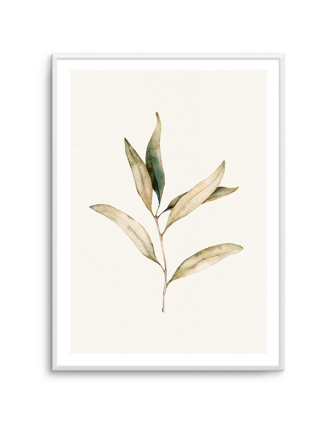 Australian Foliage I Art Print-PRINT-Olive et Oriel-Olive et Oriel-A5 | 5.8" x 8.3" | 14.8 x 21cm-Unframed Art Print-With White Border-Buy-Australian-Art-Prints-Online-with-Olive-et-Oriel-Your-Artwork-Specialists-Austrailia-Decorate-With-Coastal-Photo-Wall-Art-Prints-From-Our-Beach-House-Artwork-Collection-Fine-Poster-and-Framed-Artwork