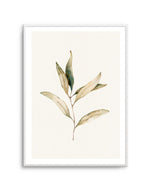 Australian Foliage I Art Print-PRINT-Olive et Oriel-Olive et Oriel-A5 | 5.8" x 8.3" | 14.8 x 21cm-Unframed Art Print-With White Border-Buy-Australian-Art-Prints-Online-with-Olive-et-Oriel-Your-Artwork-Specialists-Austrailia-Decorate-With-Coastal-Photo-Wall-Art-Prints-From-Our-Beach-House-Artwork-Collection-Fine-Poster-and-Framed-Artwork