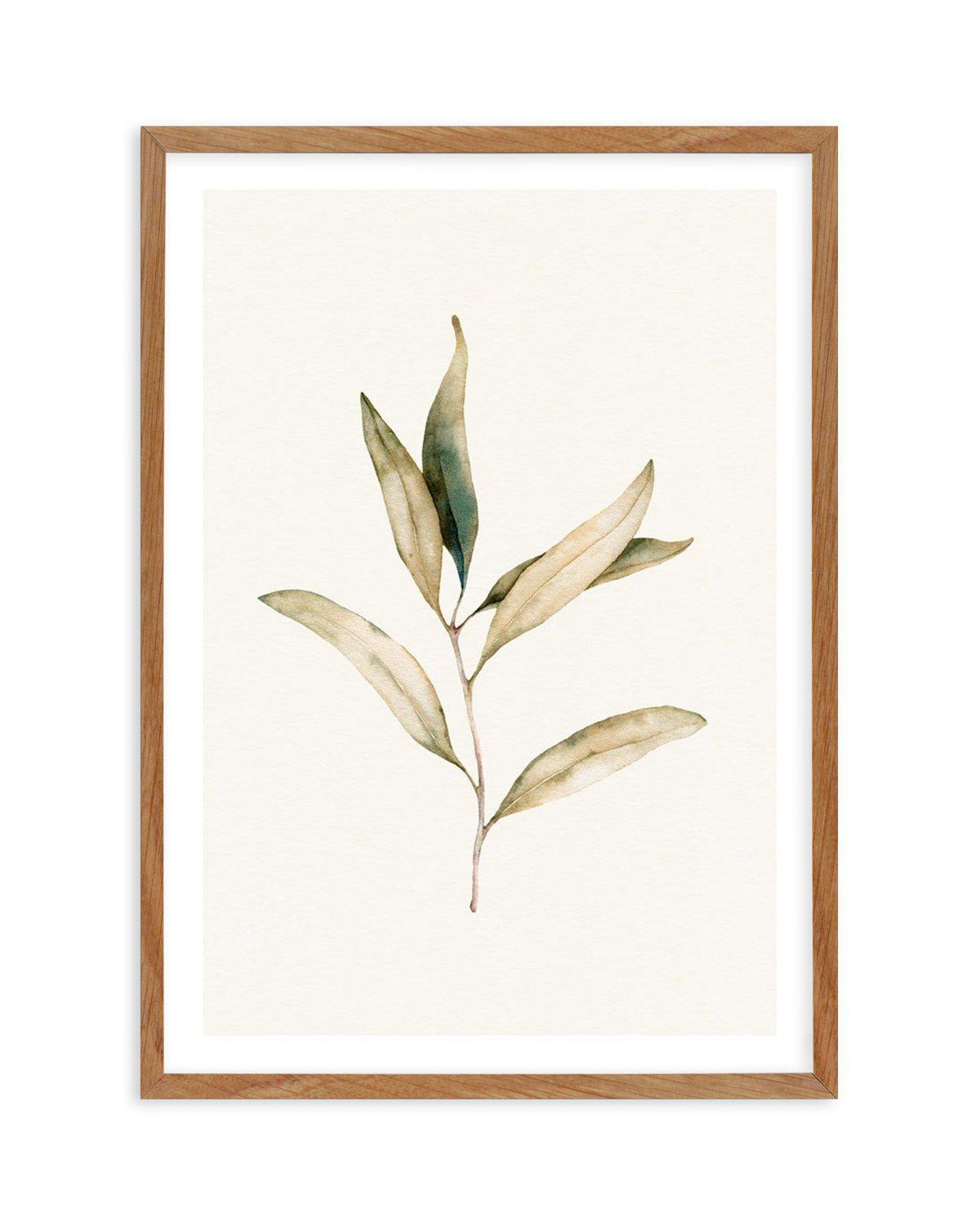 Australian Foliage I Art Print-PRINT-Olive et Oriel-Olive et Oriel-50x70 cm | 19.6" x 27.5"-Walnut-With White Border-Buy-Australian-Art-Prints-Online-with-Olive-et-Oriel-Your-Artwork-Specialists-Austrailia-Decorate-With-Coastal-Photo-Wall-Art-Prints-From-Our-Beach-House-Artwork-Collection-Fine-Poster-and-Framed-Artwork