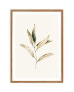 Australian Foliage I Art Print-PRINT-Olive et Oriel-Olive et Oriel-50x70 cm | 19.6" x 27.5"-Walnut-With White Border-Buy-Australian-Art-Prints-Online-with-Olive-et-Oriel-Your-Artwork-Specialists-Austrailia-Decorate-With-Coastal-Photo-Wall-Art-Prints-From-Our-Beach-House-Artwork-Collection-Fine-Poster-and-Framed-Artwork