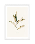 Australian Foliage I Art Print-PRINT-Olive et Oriel-Olive et Oriel-A5 | 5.8" x 8.3" | 14.8 x 21cm-White-With White Border-Buy-Australian-Art-Prints-Online-with-Olive-et-Oriel-Your-Artwork-Specialists-Austrailia-Decorate-With-Coastal-Photo-Wall-Art-Prints-From-Our-Beach-House-Artwork-Collection-Fine-Poster-and-Framed-Artwork