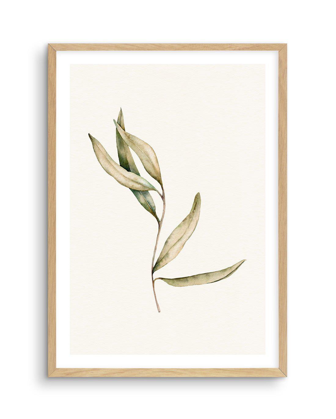 Australian Foliage II Art Print-PRINT-Olive et Oriel-Olive et Oriel-A5 | 5.8" x 8.3" | 14.8 x 21cm-Oak-With White Border-Buy-Australian-Art-Prints-Online-with-Olive-et-Oriel-Your-Artwork-Specialists-Austrailia-Decorate-With-Coastal-Photo-Wall-Art-Prints-From-Our-Beach-House-Artwork-Collection-Fine-Poster-and-Framed-Artwork