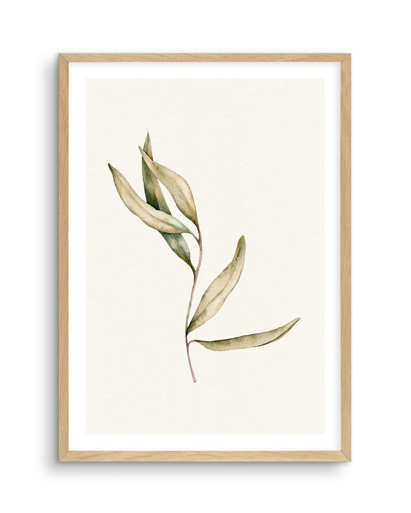 Australian Foliage II Art Print-PRINT-Olive et Oriel-Olive et Oriel-A5 | 5.8" x 8.3" | 14.8 x 21cm-Oak-With White Border-Buy-Australian-Art-Prints-Online-with-Olive-et-Oriel-Your-Artwork-Specialists-Austrailia-Decorate-With-Coastal-Photo-Wall-Art-Prints-From-Our-Beach-House-Artwork-Collection-Fine-Poster-and-Framed-Artwork