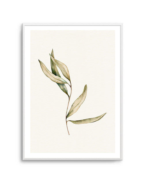 Australian Foliage II Art Print-PRINT-Olive et Oriel-Olive et Oriel-A5 | 5.8" x 8.3" | 14.8 x 21cm-Unframed Art Print-With White Border-Buy-Australian-Art-Prints-Online-with-Olive-et-Oriel-Your-Artwork-Specialists-Austrailia-Decorate-With-Coastal-Photo-Wall-Art-Prints-From-Our-Beach-House-Artwork-Collection-Fine-Poster-and-Framed-Artwork