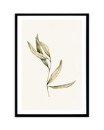Australian Foliage II Art Print-PRINT-Olive et Oriel-Olive et Oriel-A5 | 5.8" x 8.3" | 14.8 x 21cm-Black-With White Border-Buy-Australian-Art-Prints-Online-with-Olive-et-Oriel-Your-Artwork-Specialists-Austrailia-Decorate-With-Coastal-Photo-Wall-Art-Prints-From-Our-Beach-House-Artwork-Collection-Fine-Poster-and-Framed-Artwork
