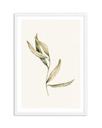 Australian Foliage II Art Print-PRINT-Olive et Oriel-Olive et Oriel-A5 | 5.8" x 8.3" | 14.8 x 21cm-White-With White Border-Buy-Australian-Art-Prints-Online-with-Olive-et-Oriel-Your-Artwork-Specialists-Austrailia-Decorate-With-Coastal-Photo-Wall-Art-Prints-From-Our-Beach-House-Artwork-Collection-Fine-Poster-and-Framed-Artwork