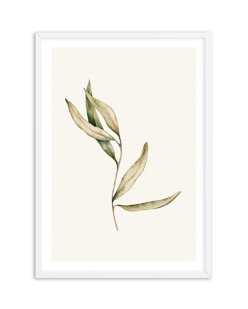 Australian Foliage II Art Print-PRINT-Olive et Oriel-Olive et Oriel-A5 | 5.8" x 8.3" | 14.8 x 21cm-White-With White Border-Buy-Australian-Art-Prints-Online-with-Olive-et-Oriel-Your-Artwork-Specialists-Austrailia-Decorate-With-Coastal-Photo-Wall-Art-Prints-From-Our-Beach-House-Artwork-Collection-Fine-Poster-and-Framed-Artwork