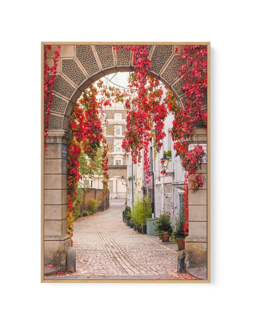 Autumn Archway, London | Framed Canvas-CANVAS-You can shop wall art online with Olive et Oriel for everything from abstract art to fun kids wall art. Our beautiful modern art prints and canvas art are available from large canvas prints to wall art paintings and our proudly Australian artwork collection offers only the highest quality framed large wall art and canvas art Australia - You can buy fashion photography prints or Hampton print posters and paintings on canvas from Olive et Oriel and hav