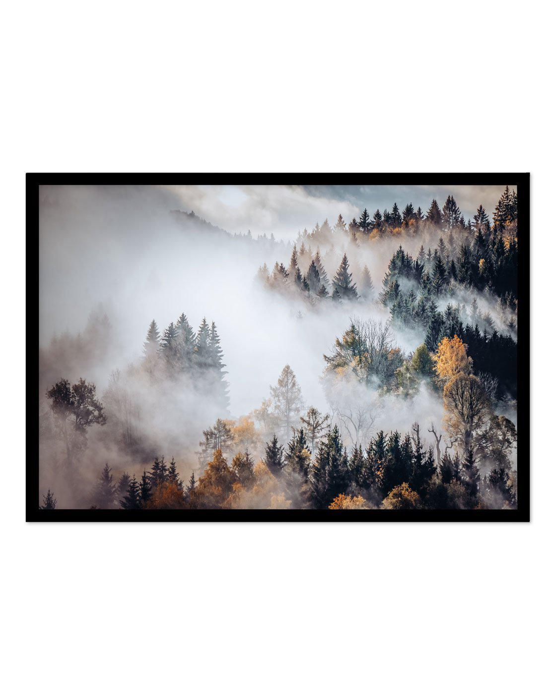 Autumn Forest Mist Art Print-PRINT-Olive et Oriel-Olive et Oriel-A5 | 5.8" x 8.3" | 14.8 x 21cm-Black-With White Border-Buy-Australian-Art-Prints-Online-with-Olive-et-Oriel-Your-Artwork-Specialists-Austrailia-Decorate-With-Coastal-Photo-Wall-Art-Prints-From-Our-Beach-House-Artwork-Collection-Fine-Poster-and-Framed-Artwork