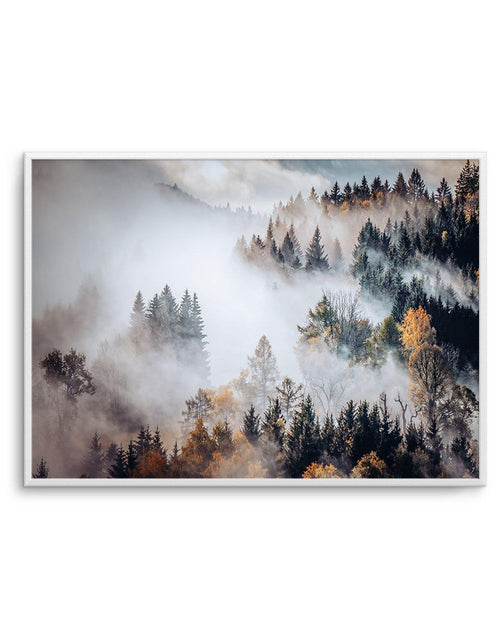 Autumn Forest Mist Art Print-PRINT-Olive et Oriel-Olive et Oriel-A5 | 5.8" x 8.3" | 14.8 x 21cm-Unframed Art Print-With White Border-Buy-Australian-Art-Prints-Online-with-Olive-et-Oriel-Your-Artwork-Specialists-Austrailia-Decorate-With-Coastal-Photo-Wall-Art-Prints-From-Our-Beach-House-Artwork-Collection-Fine-Poster-and-Framed-Artwork