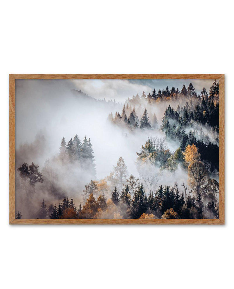 Autumn Forest Mist Art Print-PRINT-Olive et Oriel-Olive et Oriel-50x70 cm | 19.6" x 27.5"-Walnut-With White Border-Buy-Australian-Art-Prints-Online-with-Olive-et-Oriel-Your-Artwork-Specialists-Austrailia-Decorate-With-Coastal-Photo-Wall-Art-Prints-From-Our-Beach-House-Artwork-Collection-Fine-Poster-and-Framed-Artwork