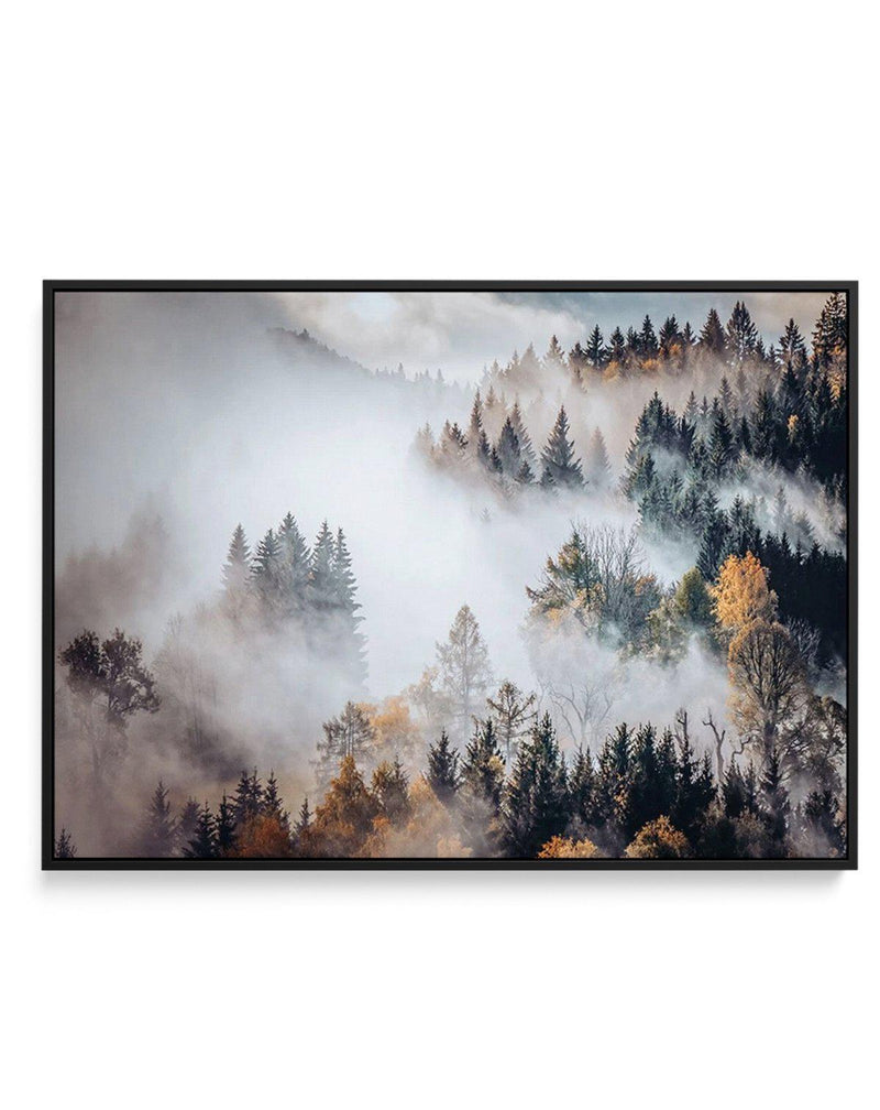 Autumn Forest Mist | Framed Canvas-CANVAS-You can shop wall art online with Olive et Oriel for everything from abstract art to fun kids wall art. Our beautiful modern art prints and canvas art are available from large canvas prints to wall art paintings and our proudly Australian artwork collection offers only the highest quality framed large wall art and canvas art Australia - You can buy fashion photography prints or Hampton print posters and paintings on canvas from Olive et Oriel and have th