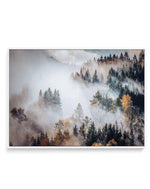Autumn Forest Mist | Framed Canvas-CANVAS-You can shop wall art online with Olive et Oriel for everything from abstract art to fun kids wall art. Our beautiful modern art prints and canvas art are available from large canvas prints to wall art paintings and our proudly Australian artwork collection offers only the highest quality framed large wall art and canvas art Australia - You can buy fashion photography prints or Hampton print posters and paintings on canvas from Olive et Oriel and have th