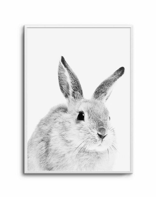Bunny | B&W Art Print-PRINT-Olive et Oriel-Olive et Oriel-A5 | 5.8" x 8.3" | 14.8 x 21cm-Unframed Art Print-With White Border-Buy-Australian-Art-Prints-Online-with-Olive-et-Oriel-Your-Artwork-Specialists-Austrailia-Decorate-With-Coastal-Photo-Wall-Art-Prints-From-Our-Beach-House-Artwork-Collection-Fine-Poster-and-Framed-Artwork