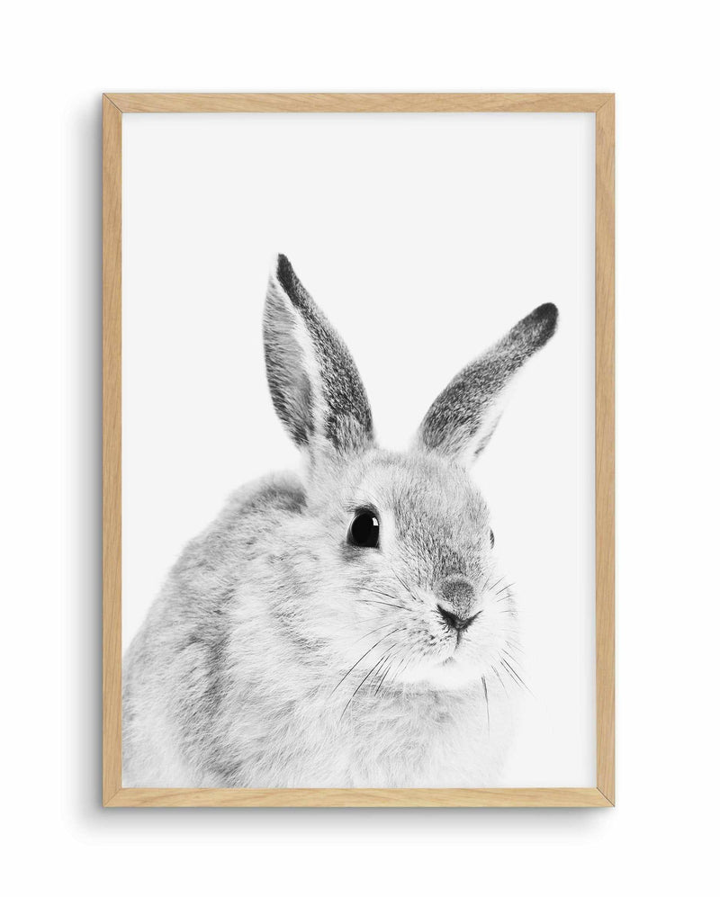 Bunny | B&W Art Print-PRINT-Olive et Oriel-Olive et Oriel-A5 | 5.8" x 8.3" | 14.8 x 21cm-Oak-With White Border-Buy-Australian-Art-Prints-Online-with-Olive-et-Oriel-Your-Artwork-Specialists-Austrailia-Decorate-With-Coastal-Photo-Wall-Art-Prints-From-Our-Beach-House-Artwork-Collection-Fine-Poster-and-Framed-Artwork