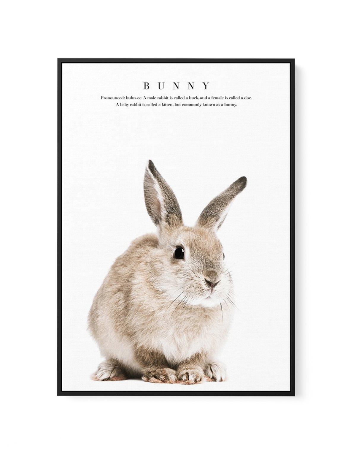 Baby Bunny | Framed Canvas-CANVAS-You can shop wall art online with Olive et Oriel for everything from abstract art to fun kids wall art. Our beautiful modern art prints and canvas art are available from large canvas prints to wall art paintings and our proudly Australian artwork collection offers only the highest quality framed large wall art and canvas art Australia - You can buy fashion photography prints or Hampton print posters and paintings on canvas from Olive et Oriel and have them deliv