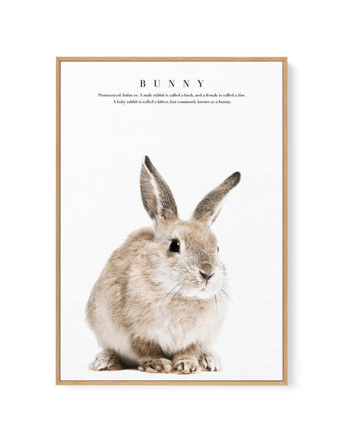 Baby Bunny | Framed Canvas-CANVAS-You can shop wall art online with Olive et Oriel for everything from abstract art to fun kids wall art. Our beautiful modern art prints and canvas art are available from large canvas prints to wall art paintings and our proudly Australian artwork collection offers only the highest quality framed large wall art and canvas art Australia - You can buy fashion photography prints or Hampton print posters and paintings on canvas from Olive et Oriel and have them deliv