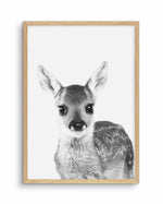 Baby Deer | B&W Art Print-PRINT-Olive et Oriel-Olive et Oriel-A5 | 5.8" x 8.3" | 14.8 x 21cm-Oak-With White Border-Buy-Australian-Art-Prints-Online-with-Olive-et-Oriel-Your-Artwork-Specialists-Austrailia-Decorate-With-Coastal-Photo-Wall-Art-Prints-From-Our-Beach-House-Artwork-Collection-Fine-Poster-and-Framed-Artwork