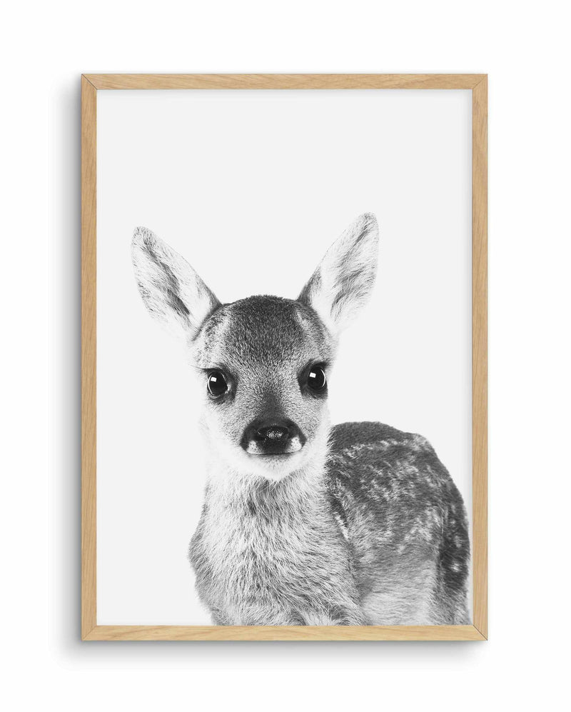 Baby Deer | B&W Art Print-PRINT-Olive et Oriel-Olive et Oriel-A5 | 5.8" x 8.3" | 14.8 x 21cm-Oak-With White Border-Buy-Australian-Art-Prints-Online-with-Olive-et-Oriel-Your-Artwork-Specialists-Austrailia-Decorate-With-Coastal-Photo-Wall-Art-Prints-From-Our-Beach-House-Artwork-Collection-Fine-Poster-and-Framed-Artwork
