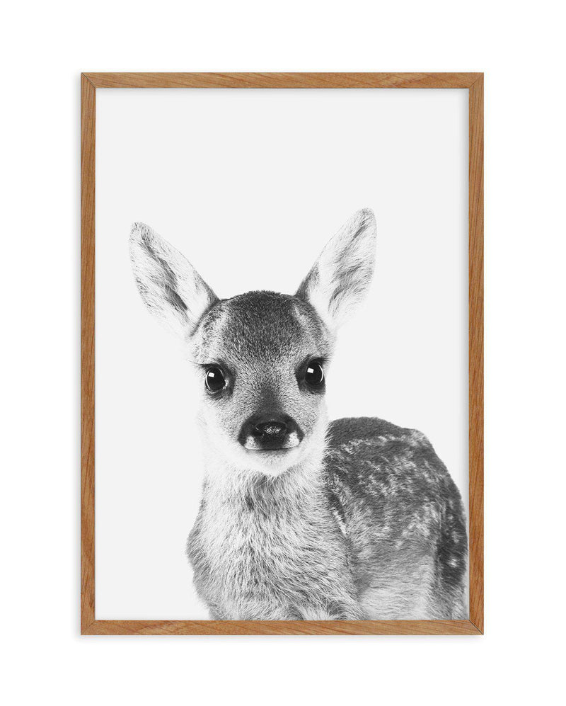 Baby Deer | B&W Art Print-PRINT-Olive et Oriel-Olive et Oriel-50x70 cm | 19.6" x 27.5"-Walnut-With White Border-Buy-Australian-Art-Prints-Online-with-Olive-et-Oriel-Your-Artwork-Specialists-Austrailia-Decorate-With-Coastal-Photo-Wall-Art-Prints-From-Our-Beach-House-Artwork-Collection-Fine-Poster-and-Framed-Artwork