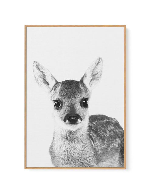 Baby Deer | B&W | Framed Canvas-CANVAS-You can shop wall art online with Olive et Oriel for everything from abstract art to fun kids wall art. Our beautiful modern art prints and canvas art are available from large canvas prints to wall art paintings and our proudly Australian artwork collection offers only the highest quality framed large wall art and canvas art Australia - You can buy fashion photography prints or Hampton print posters and paintings on canvas from Olive et Oriel and have them 