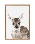 Baby Deer | Colour Art Print-PRINT-Olive et Oriel-Olive et Oriel-50x70 cm | 19.6" x 27.5"-Walnut-With White Border-Buy-Australian-Art-Prints-Online-with-Olive-et-Oriel-Your-Artwork-Specialists-Austrailia-Decorate-With-Coastal-Photo-Wall-Art-Prints-From-Our-Beach-House-Artwork-Collection-Fine-Poster-and-Framed-Artwork