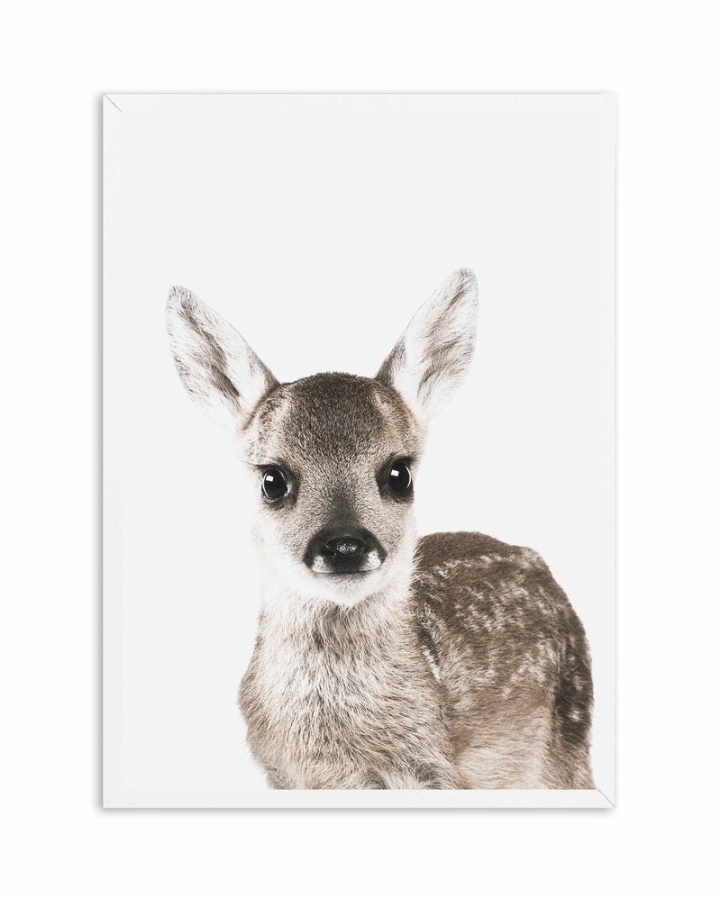Baby Deer | Colour Art Print-PRINT-Olive et Oriel-Olive et Oriel-A5 | 5.8" x 8.3" | 14.8 x 21cm-White-With White Border-Buy-Australian-Art-Prints-Online-with-Olive-et-Oriel-Your-Artwork-Specialists-Austrailia-Decorate-With-Coastal-Photo-Wall-Art-Prints-From-Our-Beach-House-Artwork-Collection-Fine-Poster-and-Framed-Artwork