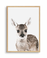 Baby Deer | Colour Art Print-PRINT-Olive et Oriel-Olive et Oriel-A5 | 5.8" x 8.3" | 14.8 x 21cm-Oak-With White Border-Buy-Australian-Art-Prints-Online-with-Olive-et-Oriel-Your-Artwork-Specialists-Austrailia-Decorate-With-Coastal-Photo-Wall-Art-Prints-From-Our-Beach-House-Artwork-Collection-Fine-Poster-and-Framed-Artwork