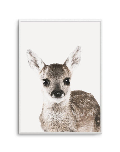 Baby Deer | Colour Art Print-PRINT-Olive et Oriel-Olive et Oriel-A5 | 5.8" x 8.3" | 14.8 x 21cm-Unframed Art Print-With White Border-Buy-Australian-Art-Prints-Online-with-Olive-et-Oriel-Your-Artwork-Specialists-Austrailia-Decorate-With-Coastal-Photo-Wall-Art-Prints-From-Our-Beach-House-Artwork-Collection-Fine-Poster-and-Framed-Artwork
