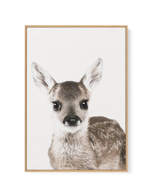 Baby Deer | Colour | Framed Canvas-CANVAS-You can shop wall art online with Olive et Oriel for everything from abstract art to fun kids wall art. Our beautiful modern art prints and canvas art are available from large canvas prints to wall art paintings and our proudly Australian artwork collection offers only the highest quality framed large wall art and canvas art Australia - You can buy fashion photography prints or Hampton print posters and paintings on canvas from Olive et Oriel and have th