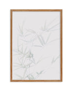 Bamboo I Art Print-PRINT-Olive et Oriel-Olive et Oriel-50x70 cm | 19.6" x 27.5"-Walnut-With White Border-Buy-Australian-Art-Prints-Online-with-Olive-et-Oriel-Your-Artwork-Specialists-Austrailia-Decorate-With-Coastal-Photo-Wall-Art-Prints-From-Our-Beach-House-Artwork-Collection-Fine-Poster-and-Framed-Artwork